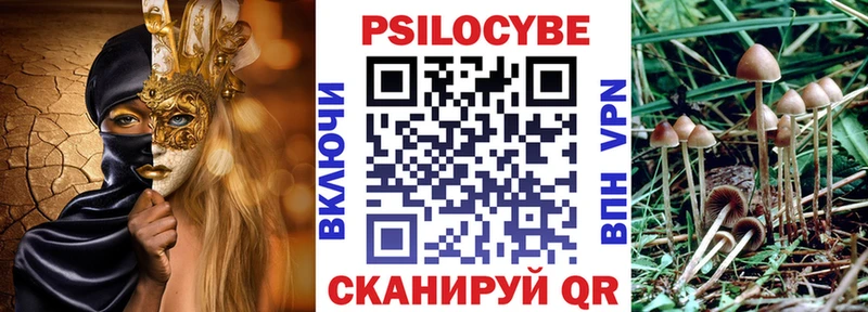 Псилоцибиновые грибы GOLDEN TEACHER закладка Азов